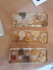 Sortie pour les élèves latinistes et hellénistes de 4ème en Provence